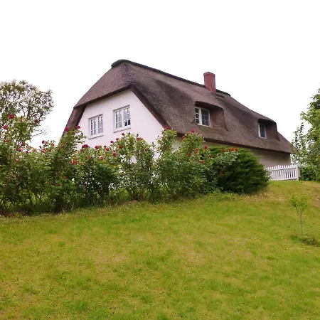 Austernfischer Haus