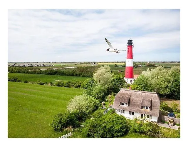 Austernfischer Haus Appartamento