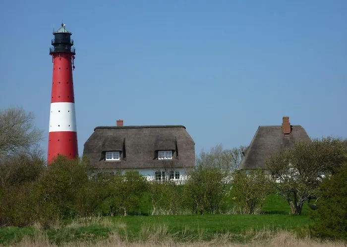 Austernfischer Haus Appartamento