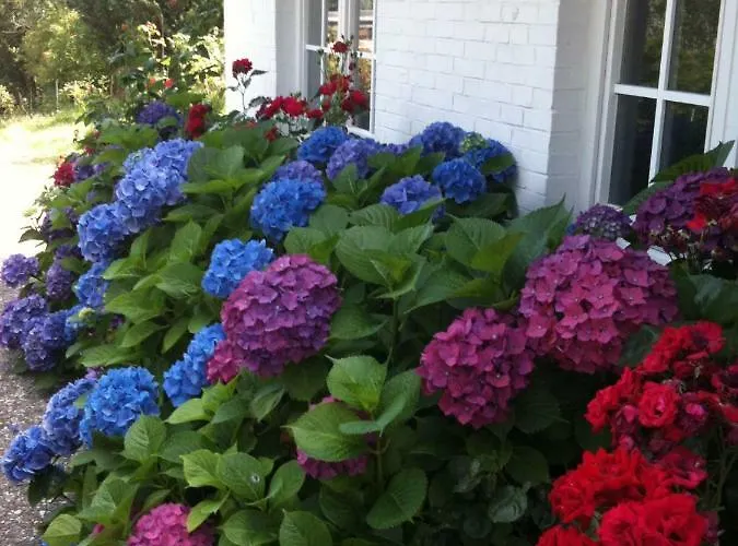 Austernfischer Haus *