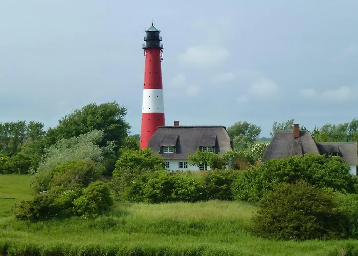 Austernfischer Haus Appartamento *