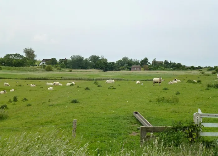 Austernfischer Haus Appartamento Pellworm